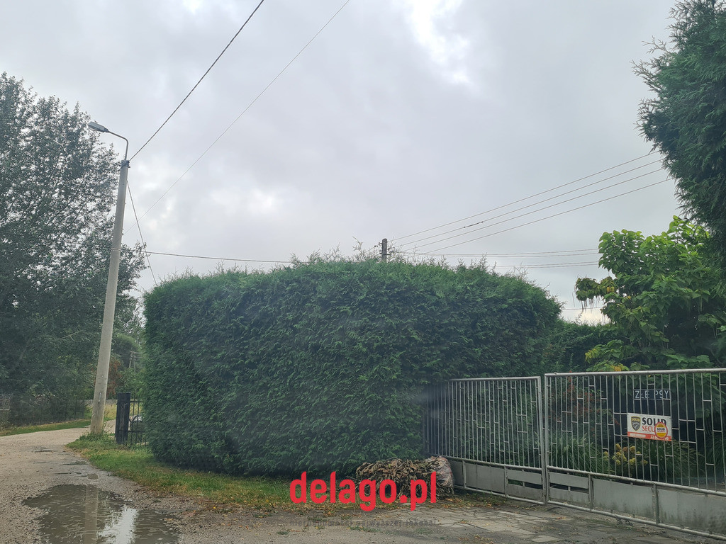 Działka Sprzedaż Warszawa Wilanów 3