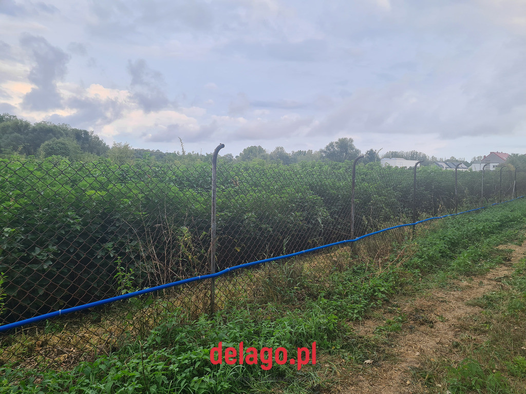 Działka Sprzedaż Warszawa Wilanów 5