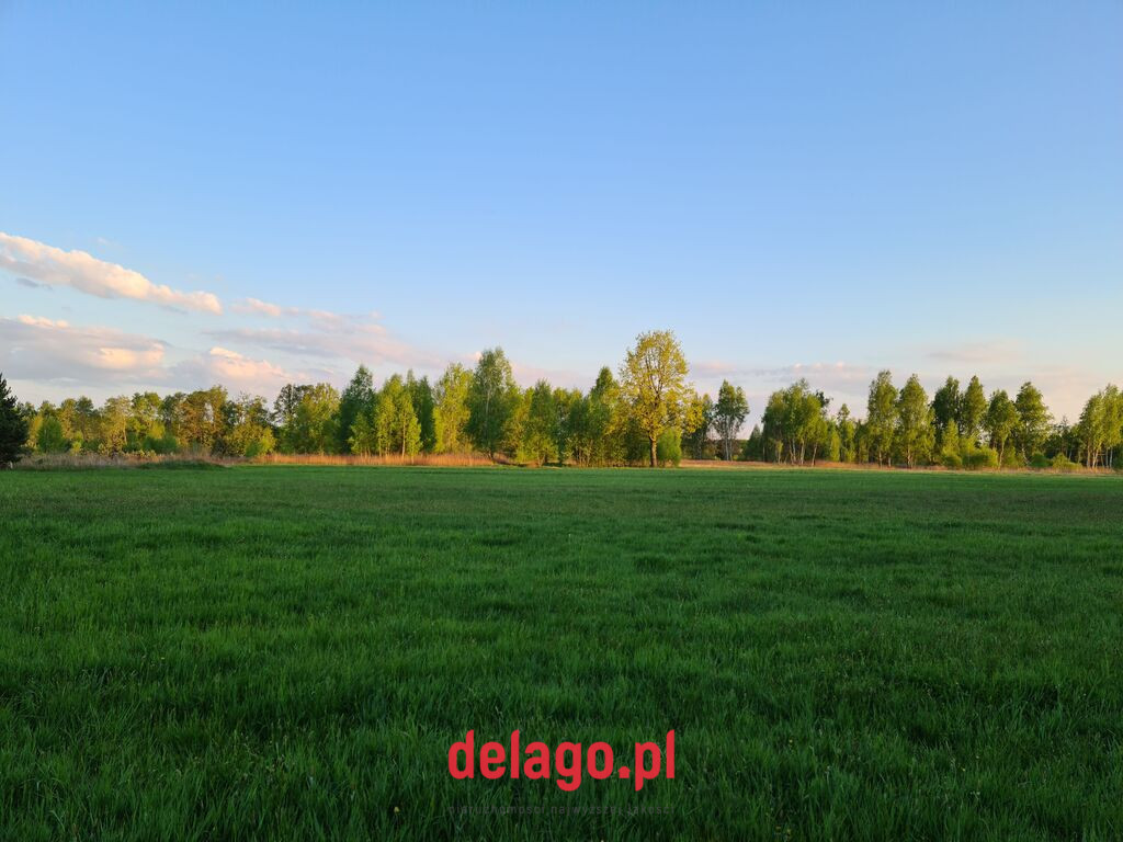 Działka Sprzedaż Orzeszyn