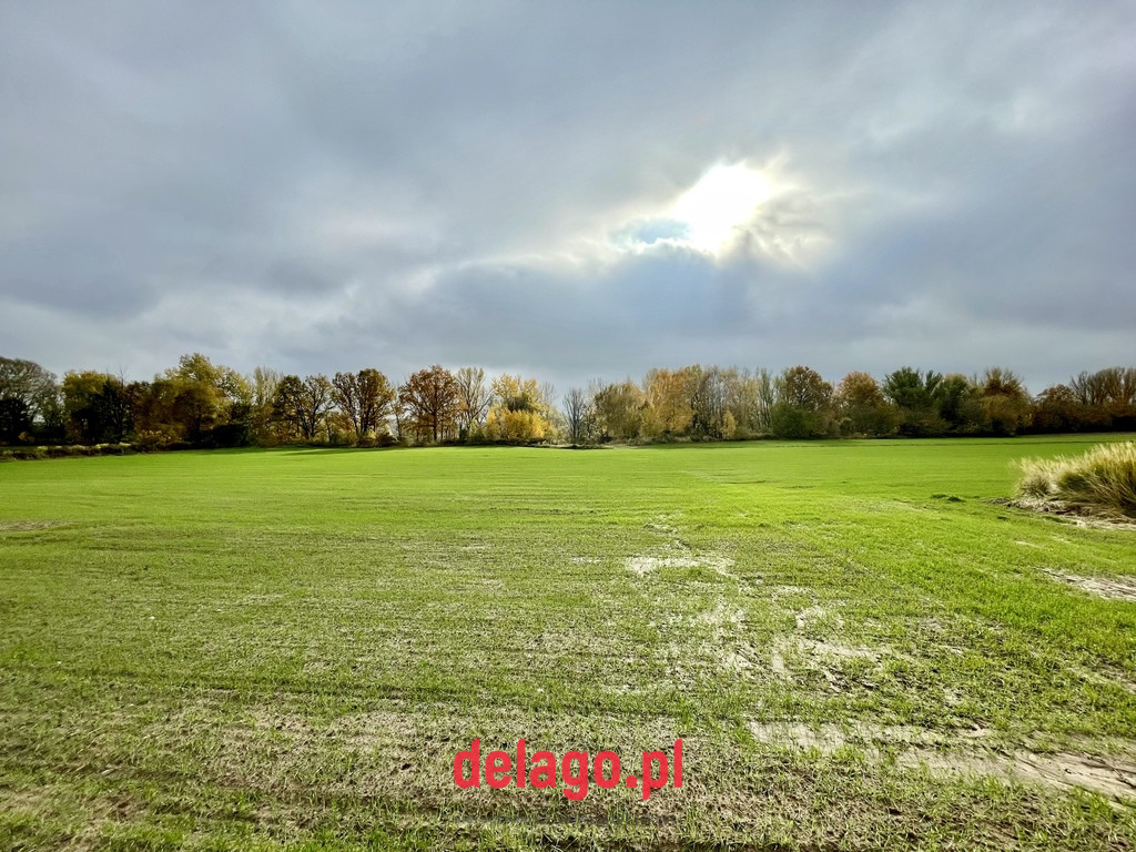 Działka Sprzedaż Mochty-Smok 8