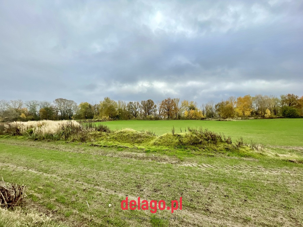 Działka Sprzedaż Mochty-Smok 10