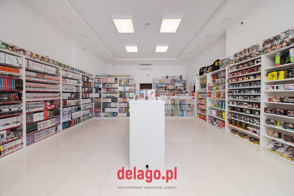 Lokal Wynajem Gliwice Śródmieście 3