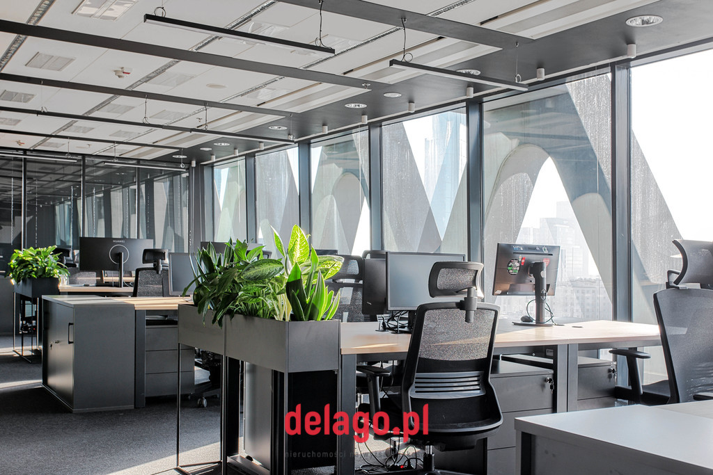 Lokal Wynajem Warszawa Wola 4