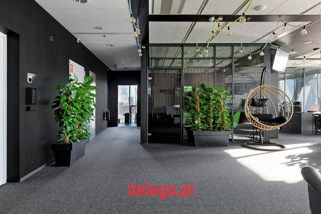 Lokal Wynajem Warszawa Wola 7