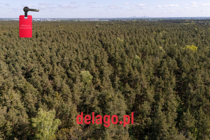 Działka Sprzedaż Łazy 12