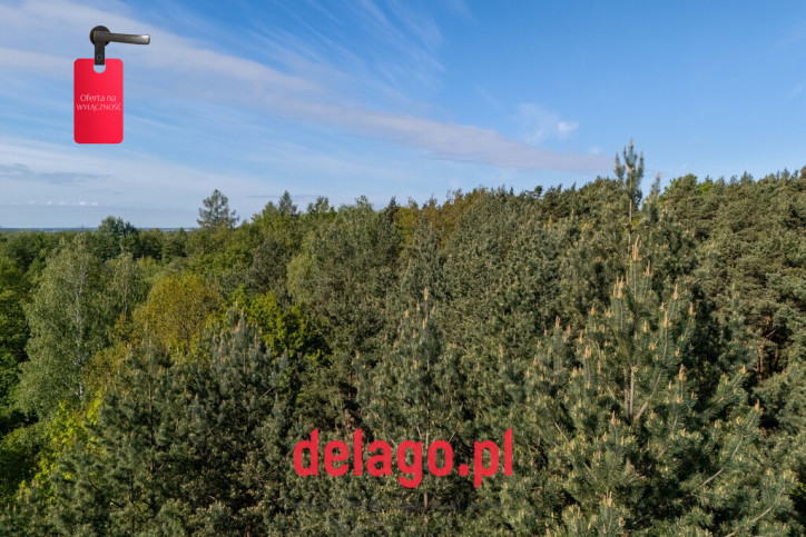 Działka Sprzedaż Łazy 13