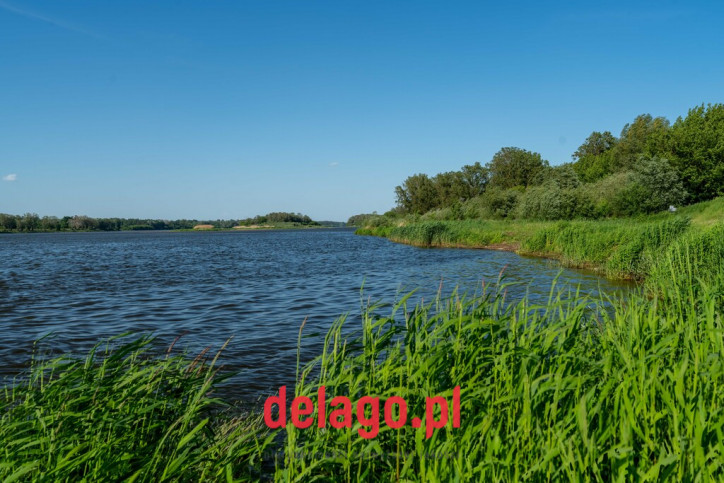 Dom Sprzedaż Nowy Secymin 36