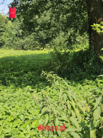 Działka Sprzedaż Błędów Parkowa&nbsp;3