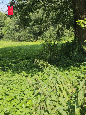 Inwestycja Błędów &nbsp;arkowa 5