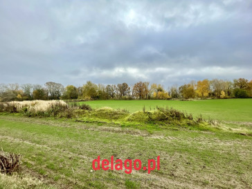 Działka Sprzedaż Mochty-Smok